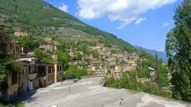 5471028.jpg